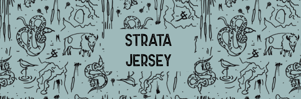 Strata Jersey Collection