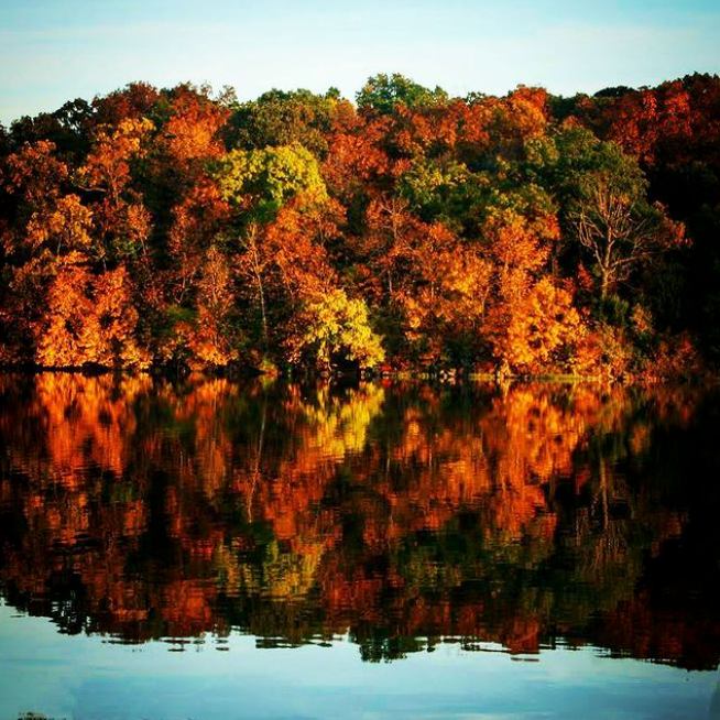 Canvas Wall Art | Canvas Wall Painting | Prairie Sailor